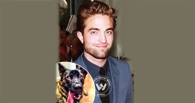 Rob Pattinson&#039;s &#039;puppy&#039; love},{Rob Pattinson&#039;s &#039;puppy&#039; love