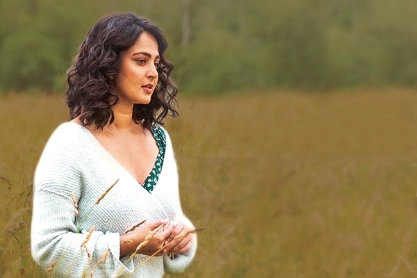 A Sequel for Anushka's Nishabdham?