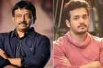 Nagarjuna, Akhil Akkineni updates, akhil rgv film in trouble, Casting couch