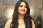 Anushka latest news, Anushka news, anushka s next project updates, Anushka shetty