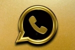 whatsapp gold message, whatsapp gold scam, beware whatsapp gold is back that puts your personal data in risk, Whatsapp web