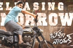 Bheemla Nayak, Pawan Kalyan, bheemla nayak fever all over, Telangana government Bheemla Nayak, Pawan Kalyan, bheemla nayak fever all over, Telangana government
