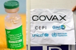 Covishield latest, COVAX news, sii to resume covishield supply to covax, Adar poonawalla