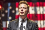 Elon Musk - Donald Trump, Musk reply on social media, is elon musk in the trump cabinet, Joint statement