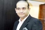 Nirav Modi Anonymity to India, Nirav Modi Anonymity date, european court grants nirav modi anonymity, France Nirav Modi Anonymity to India, Nirav Modi Anonymity date, european court grants nirav modi anonymity, France