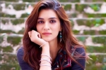 Kriti Sanon, Chandigarh, kriti sanon tested positive for covid 19, Kritisanon