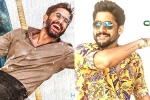 Naga Chaitanya, Naga Chaitanya upcoming projects, naga chaitanya gearing up with two films, D day posters