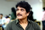 Prasanna Kumar Bezawada, Nagarjuna upcoming film, nagarjuna in a periodic drama, Sreenivas