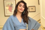 Pooja Hegde next movie, Pink remake, pooja hegde in pink remake, Taapsee