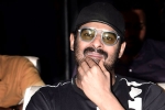 Prabhas and Maruthi Film shoot updates, Prabhas and Maruthi Film news, prabhas next film launched, A maruthi film