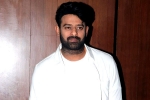 Prabhas film updates, People Media Factory, two beauties locked to romance prabhas, A maruthi film