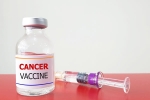 Russia Cancer Vaccine 2025, Russia Cancer Vaccine breaking, russia claims cancer vaccine discovery oncologists sceptical, Ok magazine