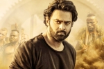 Saaho news, Shraddha Kapoor, saaho first week telugu collections, Evelyn sharma