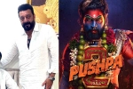 Pushpa: The Rule release news, Pushpa: The Rule release date, sanjay dutt s surprise in pushpa the rule, Naveen