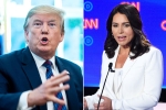 trump, trump supporting Al-Qaeda, trump slams tulsi gabbard for alleging that he supports al qaeda, Al qaeda