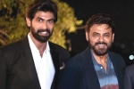 Venky and Rana movies, Rana Daggubati, venky and rana daggubati s first web series in making, Viraata parvam