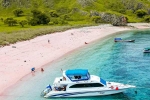 Pink Beach in Indonesia list, Pink Beach in Indonesia list, which pink beach should you visit in indonesia, La la land Pink Beach in Indonesia list, Pink Beach in Indonesia list, which pink beach should you visit in indonesia, La la land