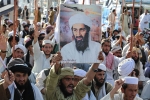 Bin Laden death, Bin Laden death video, bin laden continues to mobilize jihadists ten years after his death, Al qaeda